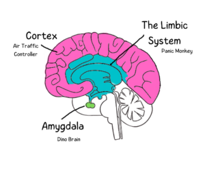 Understanding Meltdowns - Autism Understood